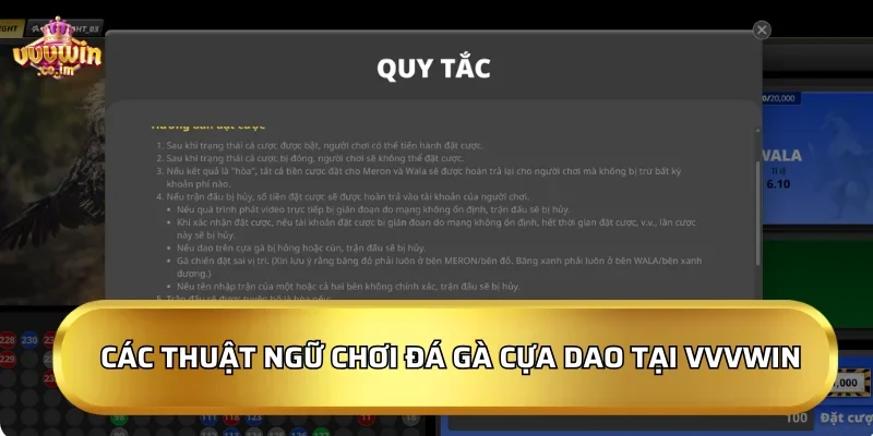 Các thuật ngữ quan trọng khi chơi đá gà cựa dao tại VVVWin