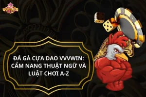 Đá gà cựa dao